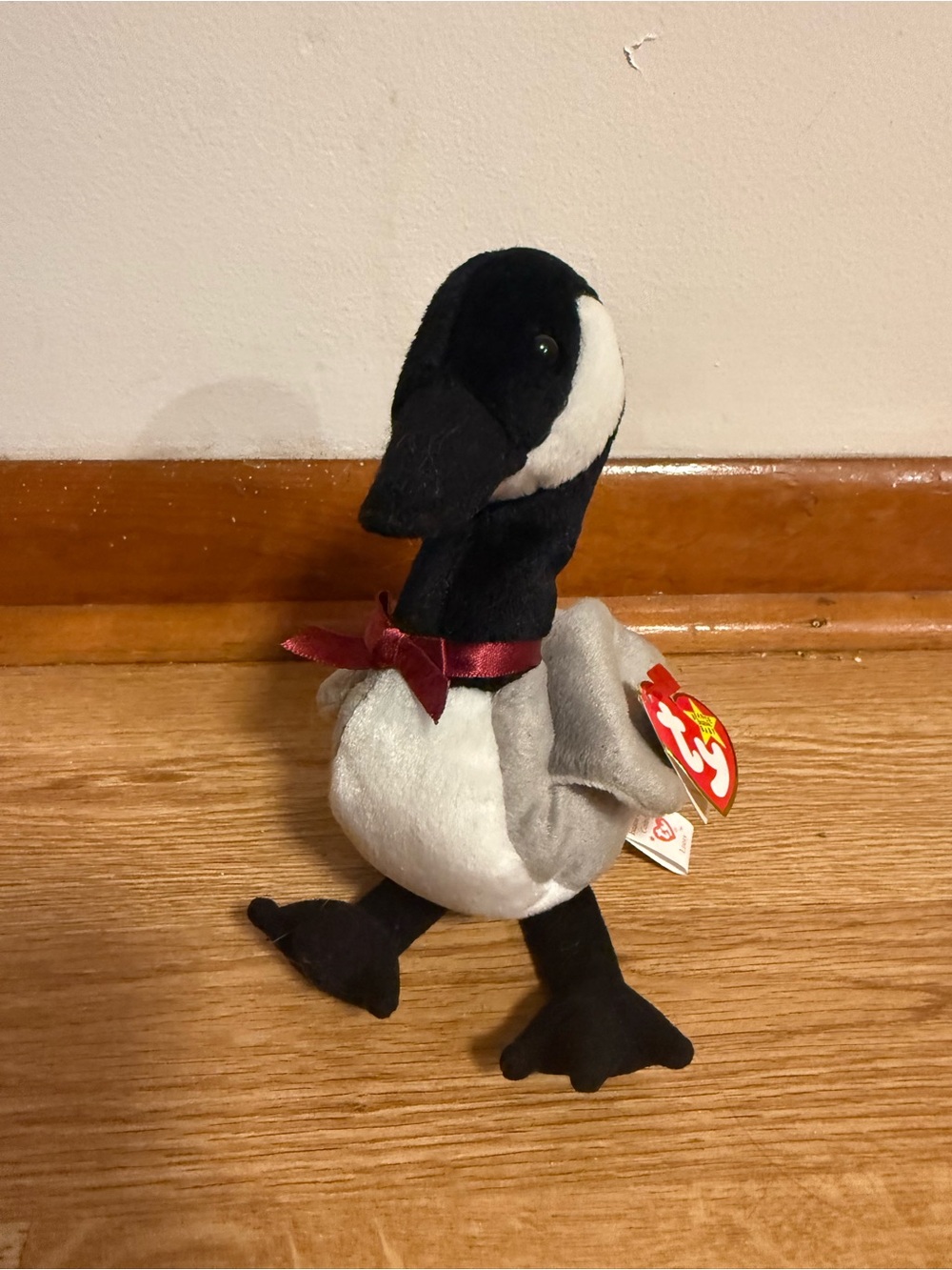 TY Beanie Baby LOOSY the GOOSE Beanbag Plush W/tags Plush Goose Duck